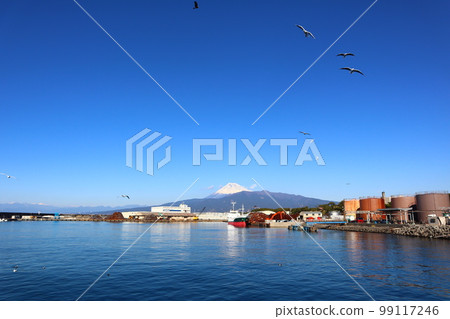 Mt. Fuji seen from Suruga Bay where seagulls dance 99117246