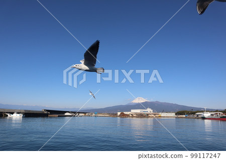 Mt. Fuji seen from Suruga Bay where seagulls dance 99117247