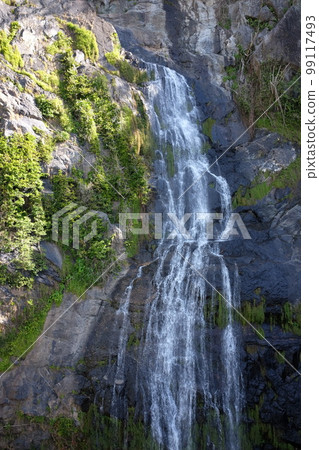 Kuranda Scenic Railway, a must-ride for sightseeing in Cairns 99117493
