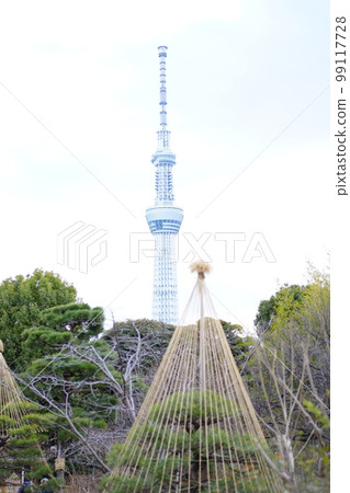 Skytree and Japanese garden Skytree and Japanese garden 99117728