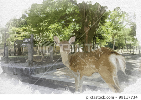Watercolor style deer in Nara Park Nara City, Nara Prefecture 99117734