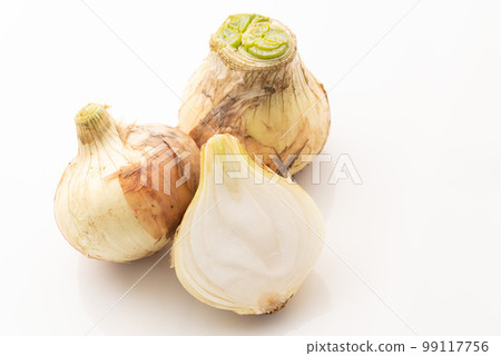 New onion New onion New onion New onion 99117756