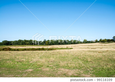 A large park with spacious lawns and trees, in the suburbs of London 99118109