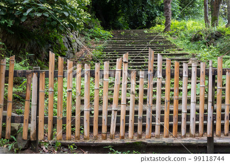 An old bamboo fence 99118744