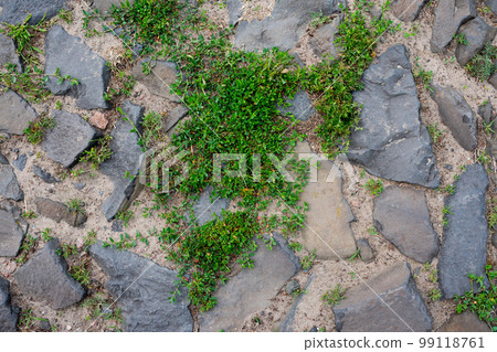 Old stone wall with ivy as background. Wall with cobblestone and overgrown by grass Old stone wall with ivy as background. Wall with cobblestone and overgrown by grass 99118761