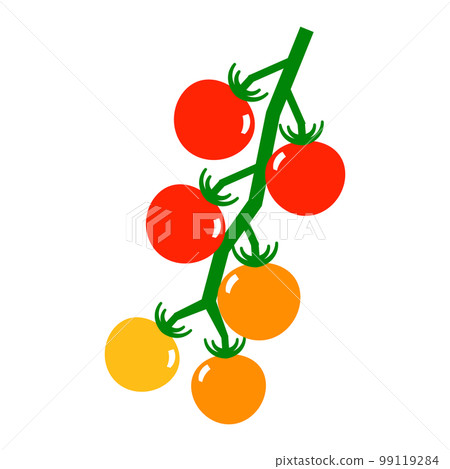 Vector illustration of a bunch of mini tomatoes colored in gradation Vector illustration of a bunch of mini tomatoes colored in gradation 99119284