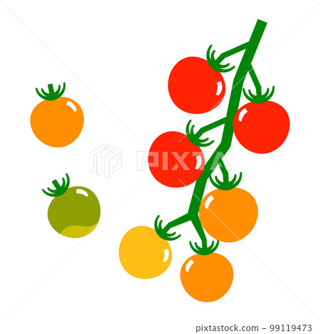 Simple and cute mini tomato vector illustration set 99119473