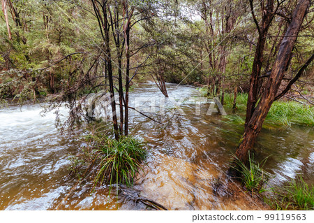 Little Peninsula Tunnel in Warburton Australia Little Peninsula Tunnel in Warburton Australia 99119563