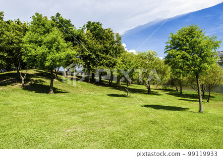 Beautiful lakeside landscape in the Tainan Metropolitan Park in Taiwan. right next to the Tainan Chimei museum. Beautiful lakeside landscape in the Tainan Metropolitan Park in Taiwan. right next to the Tainan Chimei museum. 99119933