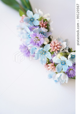 Arrangement with Blue Star 99120567