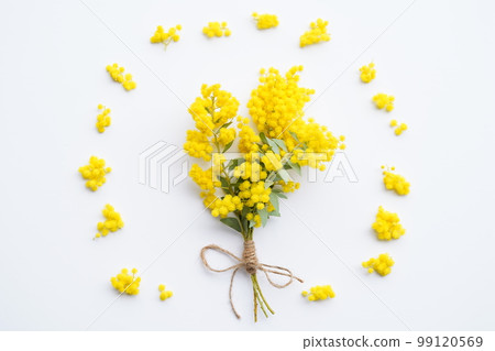 Mimosa arrangement 99120569