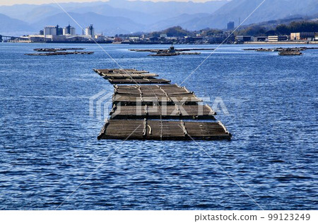 瀨戶內海鮮 牡蠣養殖(牡蠣筏) 瀨戶內海鮮 牡蠣養殖(牡蠣筏) 99123249