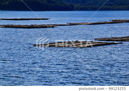 Setouchi Seafood Oyster farming (oyster raft) 99123255