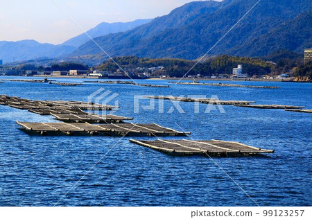 Setouchi Seafood Oyster farming (oyster raft) Setouchi Seafood Oyster farming (oyster raft) 99123257