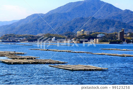 瀨戶內海鮮 牡蠣養殖（牡蠣筏） 99123258