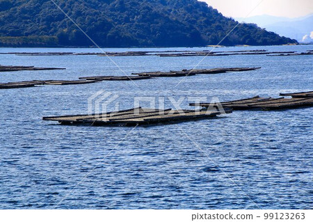 瀨戶內海鮮 牡蠣養殖(牡蠣筏) 瀨戶內海鮮 牡蠣養殖(牡蠣筏) 99123263