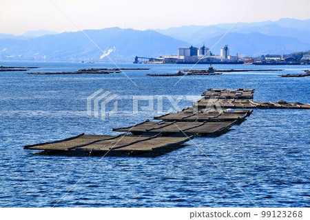 瀨戶內海鮮 牡蠣養殖(牡蠣筏) 瀨戶內海鮮 牡蠣養殖(牡蠣筏) 99123268
