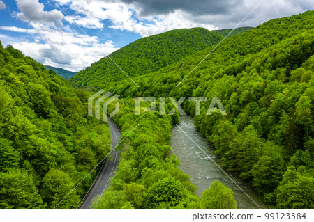 Carpathian mountains covered with beautiful green trees aerial panorama view. 99123384