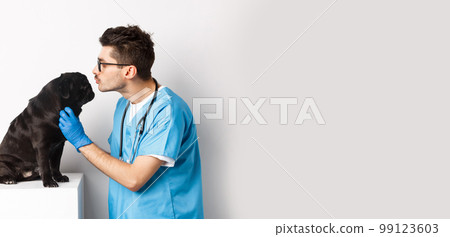 Handsome doctor veterinarian examining black pug, vet kissing and petting cute dog, white background Handsome doctor veterinarian examining black pug, vet kissing and petting cute dog, white background 99123603