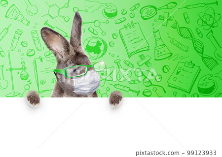 Easter rabbit with medical mask at epidemic time 99123933