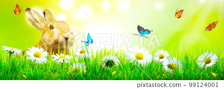 Funny Easter bunny. Happy Easter holiday concept. 99124001