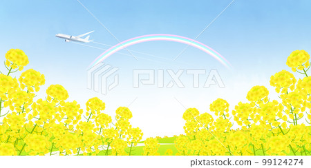 Field of rapeseed background material 99124274