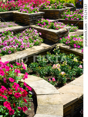Landscape design of home garden, landscaping with flowers and stone retaining walls Landscape design of home garden, landscaping with flowers and stone retaining walls 99124337
