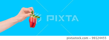 Hand holding a huge strawberry isolated on blue background. Summer berry long banner. 99124455