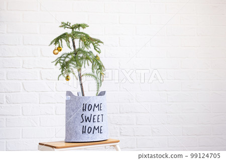 Araucaria house plant is a room spruce decorated with Christmas balls like a Christmas tree in a cozy felt planter with the inscription home sweet home. Green home interior decor 99124705