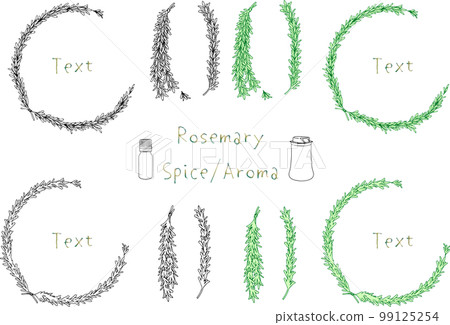 Rosemary (herb) frame set 99125254