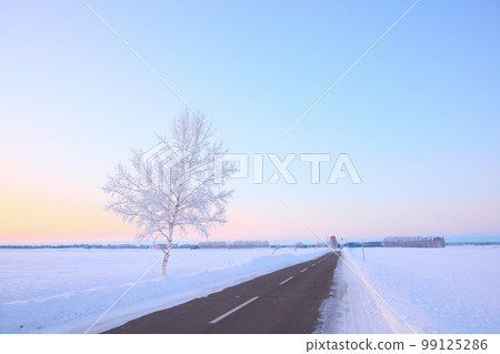 Winter Tokachi Winter Tokachi 99125286