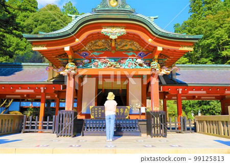 A trip to Kirishima and Ebino Plateau across Miyazaki and Kagoshima prefectures 99125813