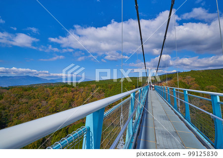 靜岡縣的三島天空步道(吊橋)和富士山 靜岡縣的三島天空步道(吊橋)和富士山 99125830