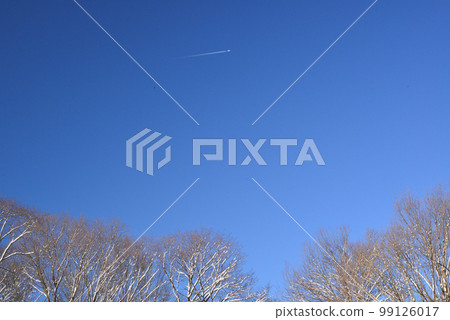 藍天和飛機雲彩 99126017