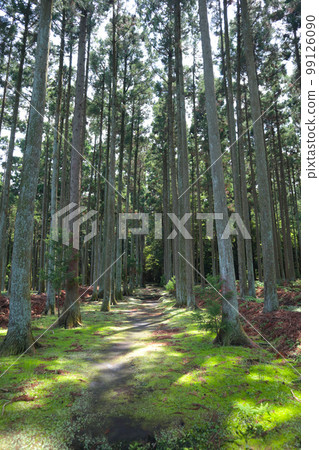 伊豆大島始釜神社 伊豆大島始釜神社 99126090