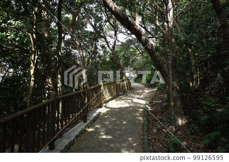 冬季沖繩北古里本部半島古宇利島 冬季沖繩北古里本部半島古宇利島 99126595