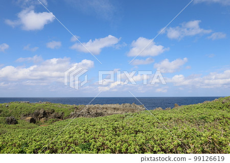 Kouri Island on the Okinawa Hokkori Motobu Peninsula in winter 99126619