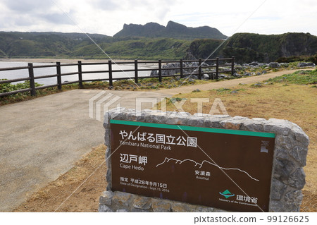 冬季沖繩北古里本部半島古宇利島 99126625