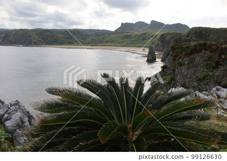 Kouri Island on the Okinawa Hokkori Motobu Peninsula in winter 99126630