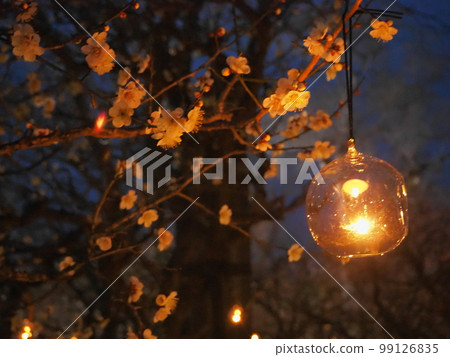 北野天滿宮梅園夜景 北野天滿宮梅園夜景 99126835