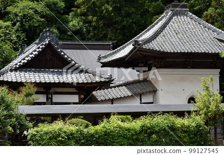 甲府市初夏鮮花盛開的高橋山法光寺 99127545