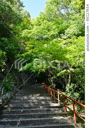 綠意盎然的滋賀縣永源寺 綠意盎然的滋賀縣永源寺 99127654