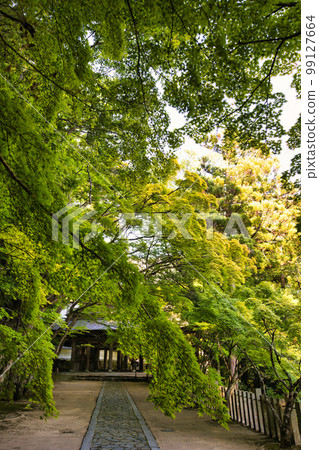 Eigenji Temple in Shiga Prefecture with its fresh greenery Eigenji Temple in Shiga Prefecture with its fresh greenery 99127664
