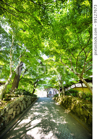 綠意盎然的滋賀縣永源寺 99127673