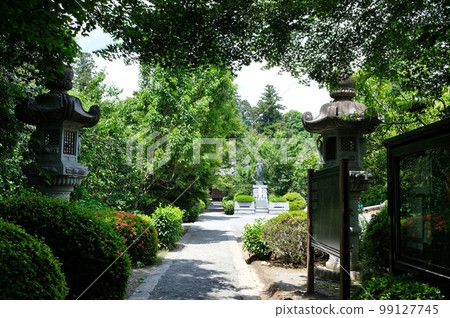 Takahashiyama Hokoji Temple where early summer flowers are in full bloom in Kofu City 99127745