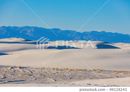 Sunny view of the landscape of White Sands National Park 99128243