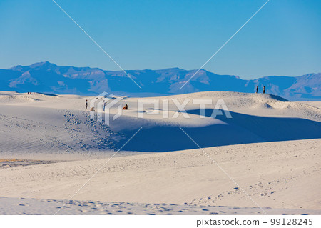 Sunny view of the landscape with some footprints in White Sands National Park 99128245
