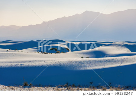 Sunny view of the landscape of White Sands National Park 99128247