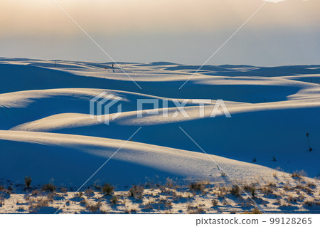 Sunny view of the landscape of White Sands National Park Sunny view of the landscape of White Sands National Park 99128265