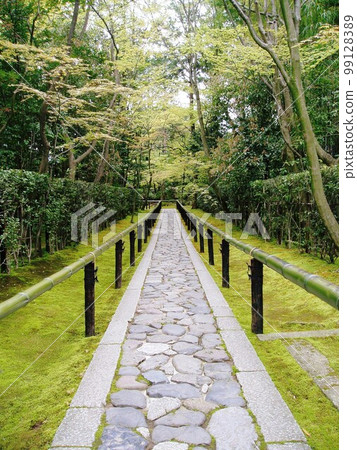 Scenery of the fresh greenery of Kyoto Daitokuji Koto-in Temple 99128389